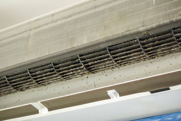 Best Emergency Air Duct Cleaning  in Hood River, OR